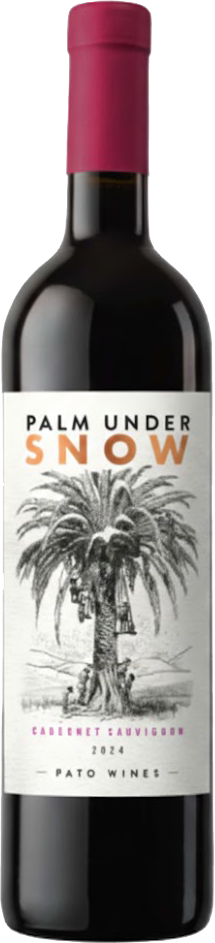 Palm Under Snow